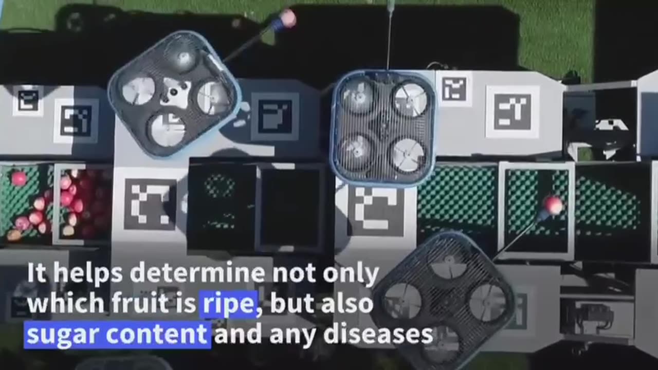 DRONES ARE PICKING APPLES IN ISRAEL