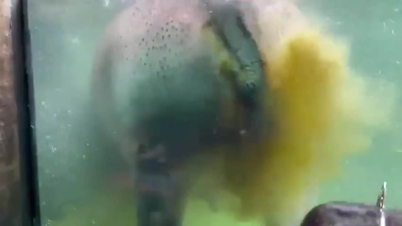 Hello there young one. Never going to the zoo again.