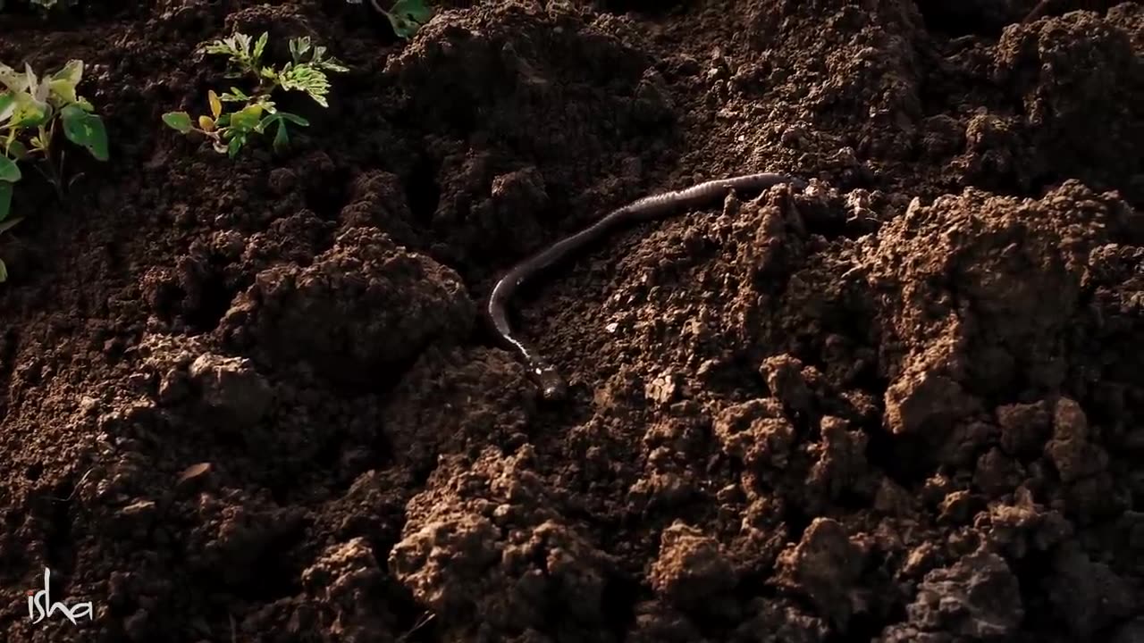 How To Be Really Successfu