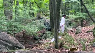 Surge of ticks in US Northeast sets off health concerns