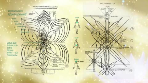 Activating the Lotus seed part two