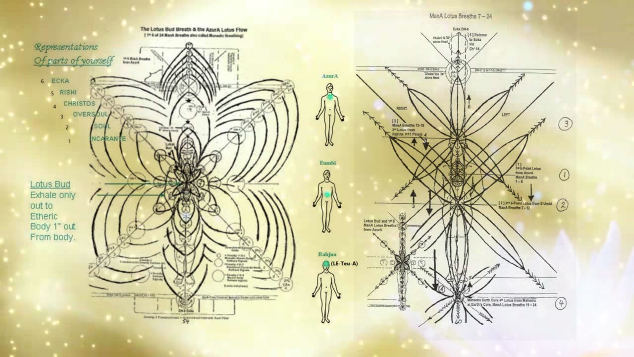 Activating the Lotus seed part two