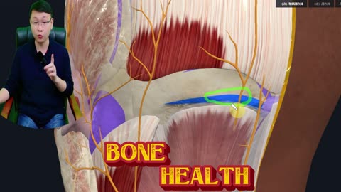 Dopamine vs Serotonin: The Brain Chemicals That Control Your Emotions