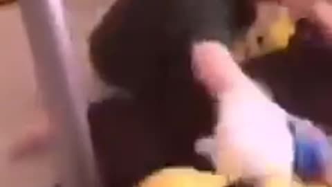 😂🦅 You Won't Believe This INSANE Move! | FunFM