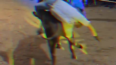 "The Wildest Bull Rides 💀🔥"
