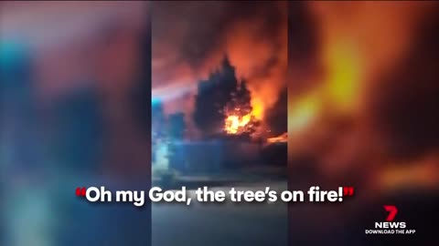Family heartbroken as arsonist torches Elizabeth Park home - 7NEWS Australia