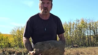 Getting Rocks - Picking Rocks for Off Grid Projects#livingoffgrid