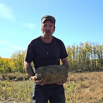 Getting Rocks - Picking Rocks for Off Grid Projects#livingoffgrid