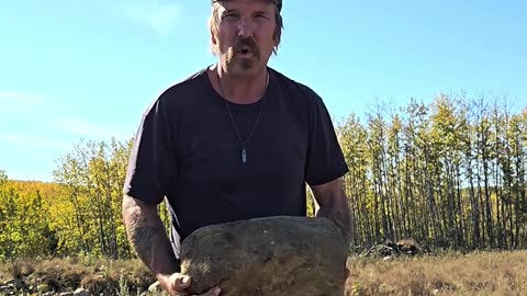 Getting Rocks - Picking Rocks for Off Grid Projects#livingoffgrid