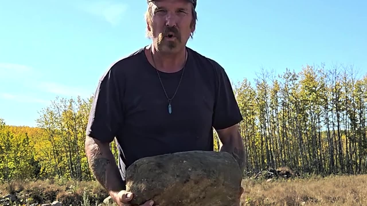 Getting Rocks - Picking Rocks for Off Grid Projects#livingoffgrid