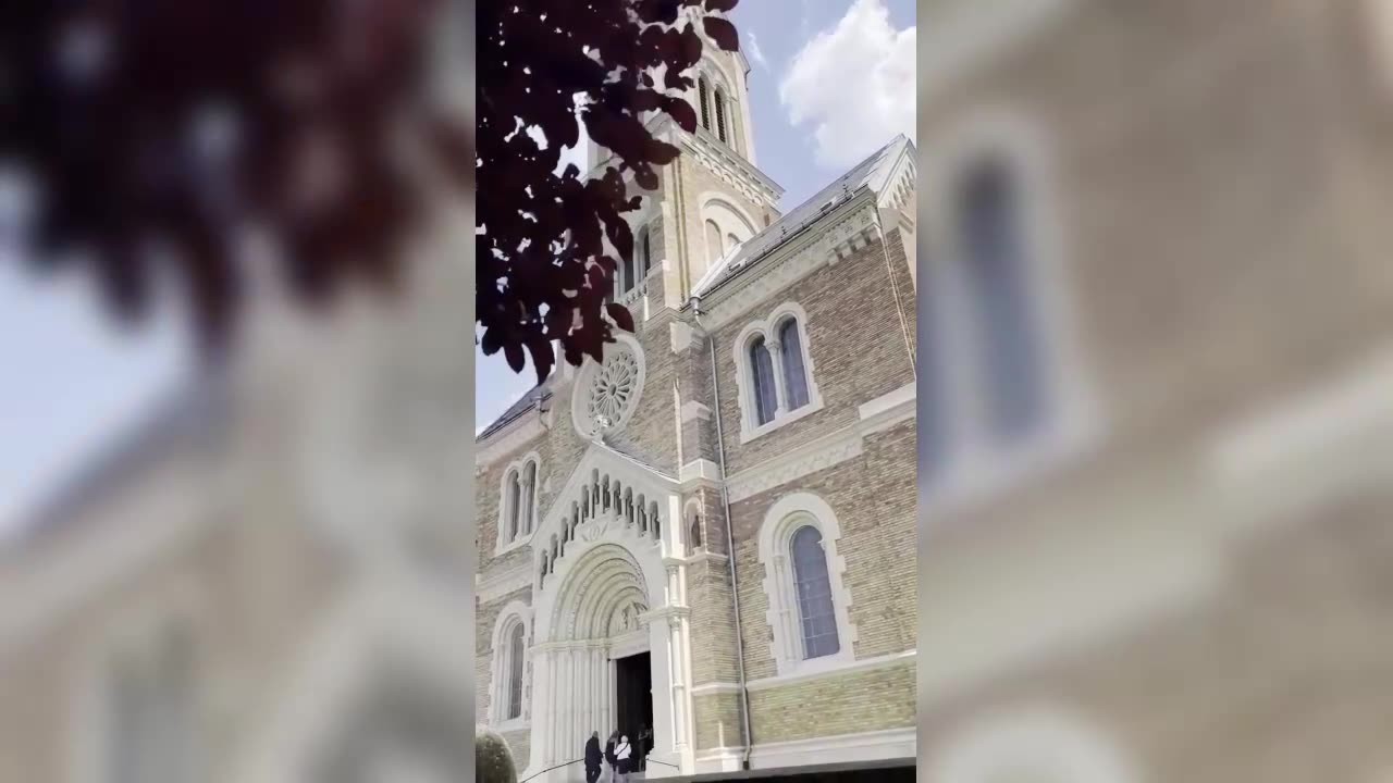 Molnár Zengő esküvői előkészülete