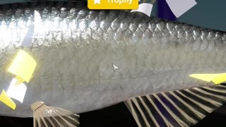 RF4 Trophy Bleak on a Winding Rivulet | Float Fishing