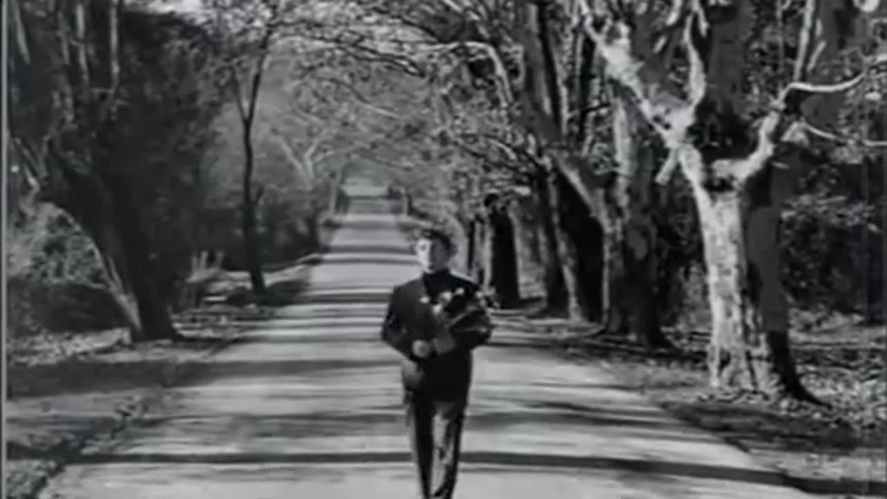 YALVARIRIM ALLAHIM YAŞATMA ARTIK BENİ