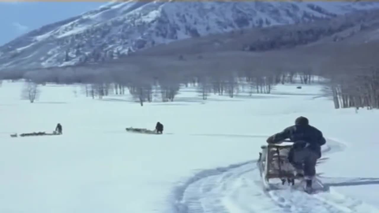 Sgt Preston of the Yukon - episode 4