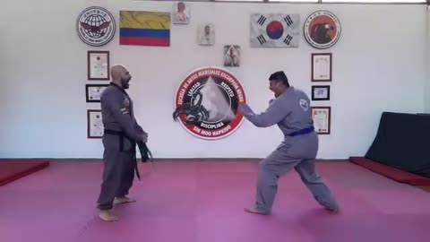 Sin Moo Hapkido