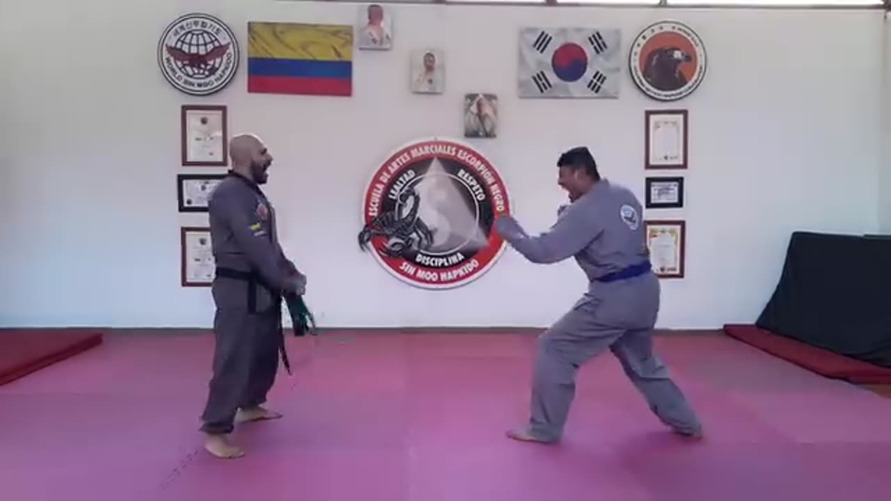 Sin Moo Hapkido