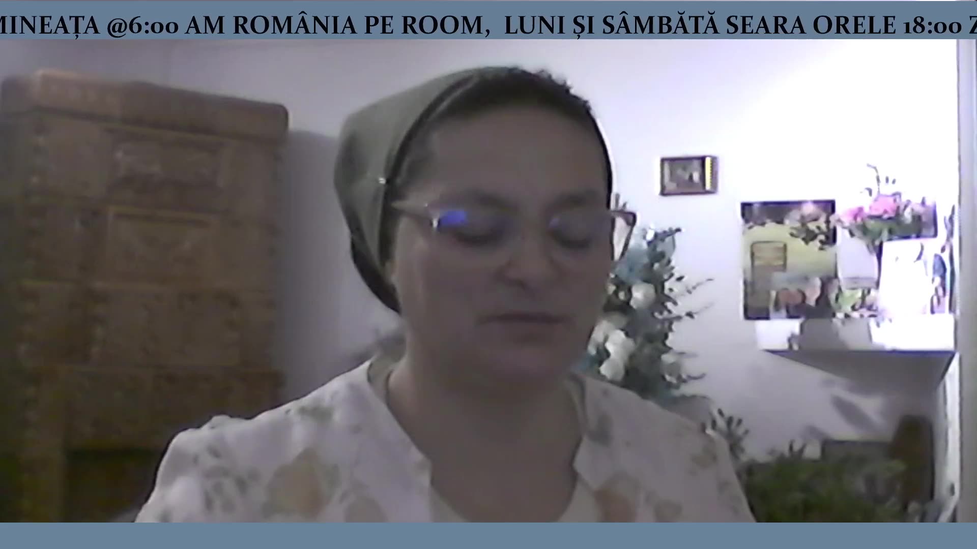 ILEANA STANCU POEZIA -VORBIREA NOASTRĂ- #caleacătrerai #poezie #podcastclips #subscribe