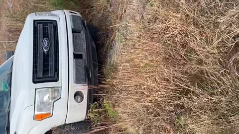 Bringing the NC deer out of the woods