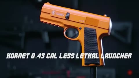 The Top 6 Most Powerful Less Lethal Guns for Home Defense