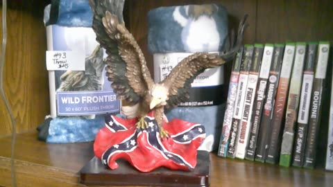 American Bald Eagle with the right Flag