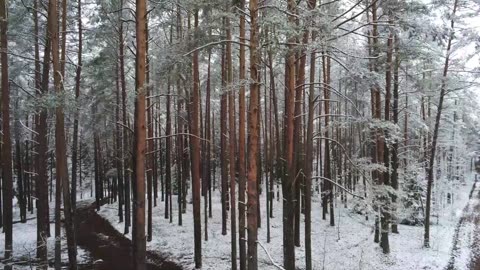 How to Live a Happier Life | Daily Gratitude Practice That Changes Everything