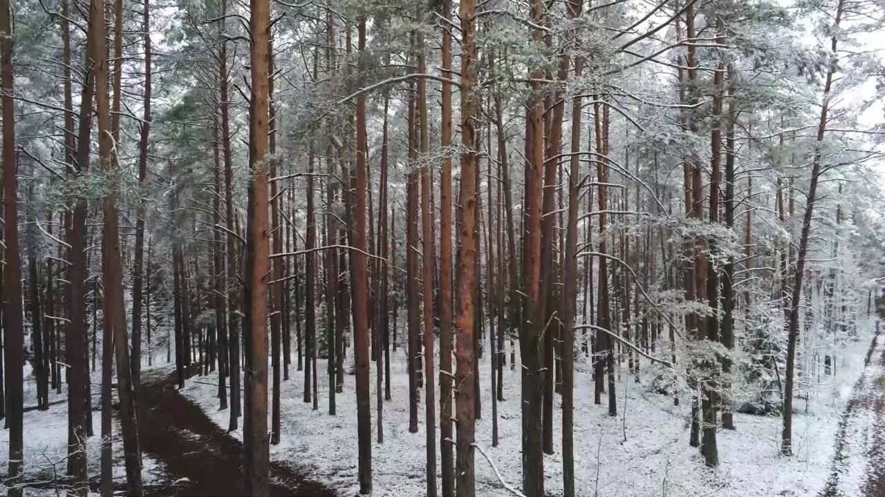 How to Live a Happier Life | Daily Gratitude Practice That Changes Everything