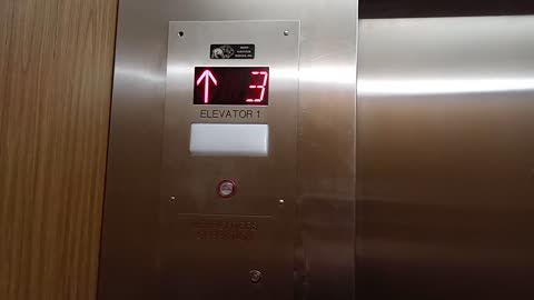 WATCH ME PUSH ALL FOUR ELEVATOR BUTTONS