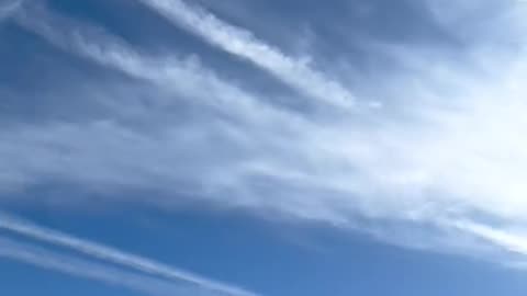 Rothschild BlackRock WEF Power...