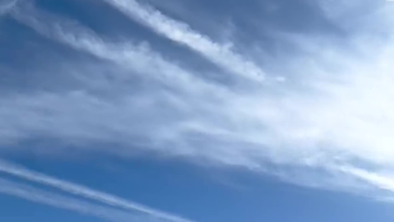 Rothschild BlackRock WEF Power...