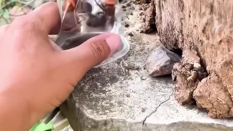 Fearless Mode Activated 😳