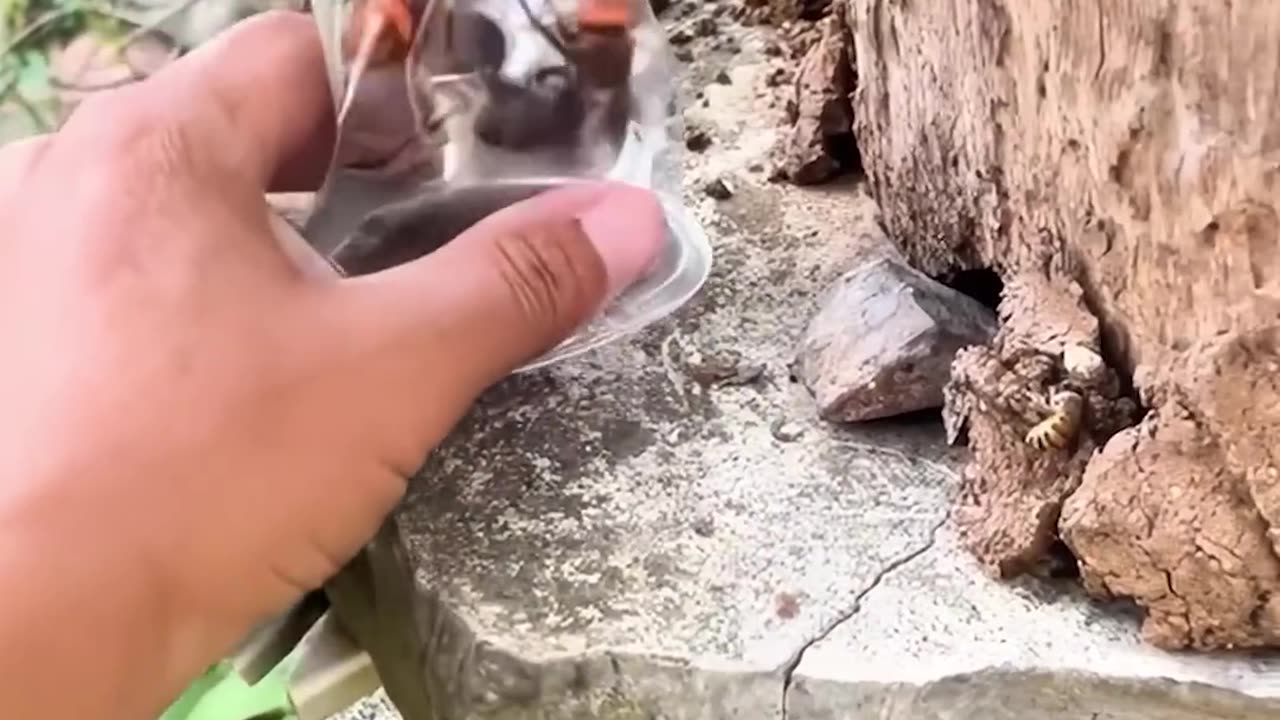 Fearless Mode Activated 😳