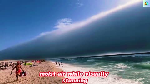 RARE Shelf Cloud Appears! You Won't Believe This Sky Phenomenon!
