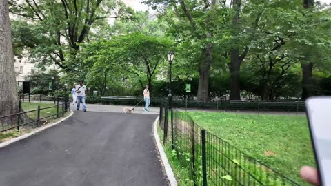 🗽 NYC Live 🔴 Walk (Chat on YouTube)