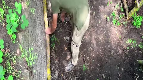 Pt2 | Building a MOST secret SHELTER in the STUMP of a very OLD OAK tree
