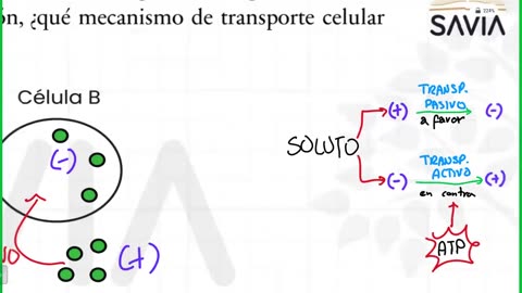 SAVIA REPASO 2025 - 2 | Semana 02 | Biología