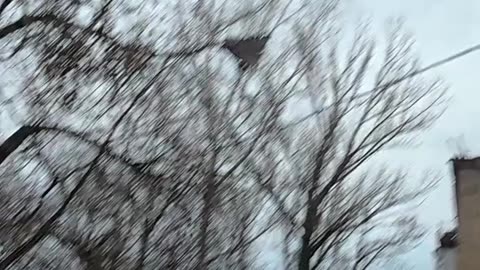 Ukrainian Soldier Shoots Down Incoming Russian Drone with Single Shot