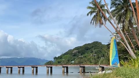 Daily Horoscope | Gemini 🌟