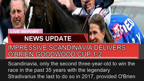 Impressive Scandinavia Delivers Obrien Goodwood C