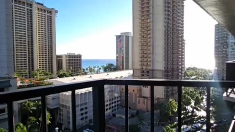 fatty demon pig - 2025 - YT - USA - November 25th or November 24th in USA part 006