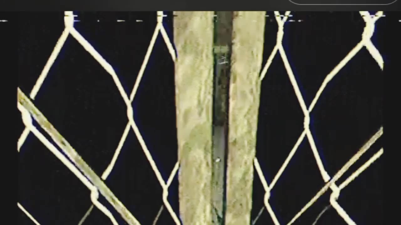 No Signal Full Walkthrough No Commentary