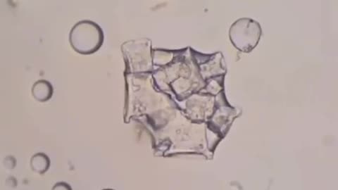 Nano tech now floods the tooth industry.