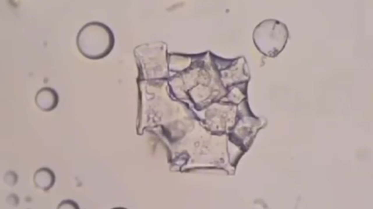 Nano tech now floods the tooth industry.