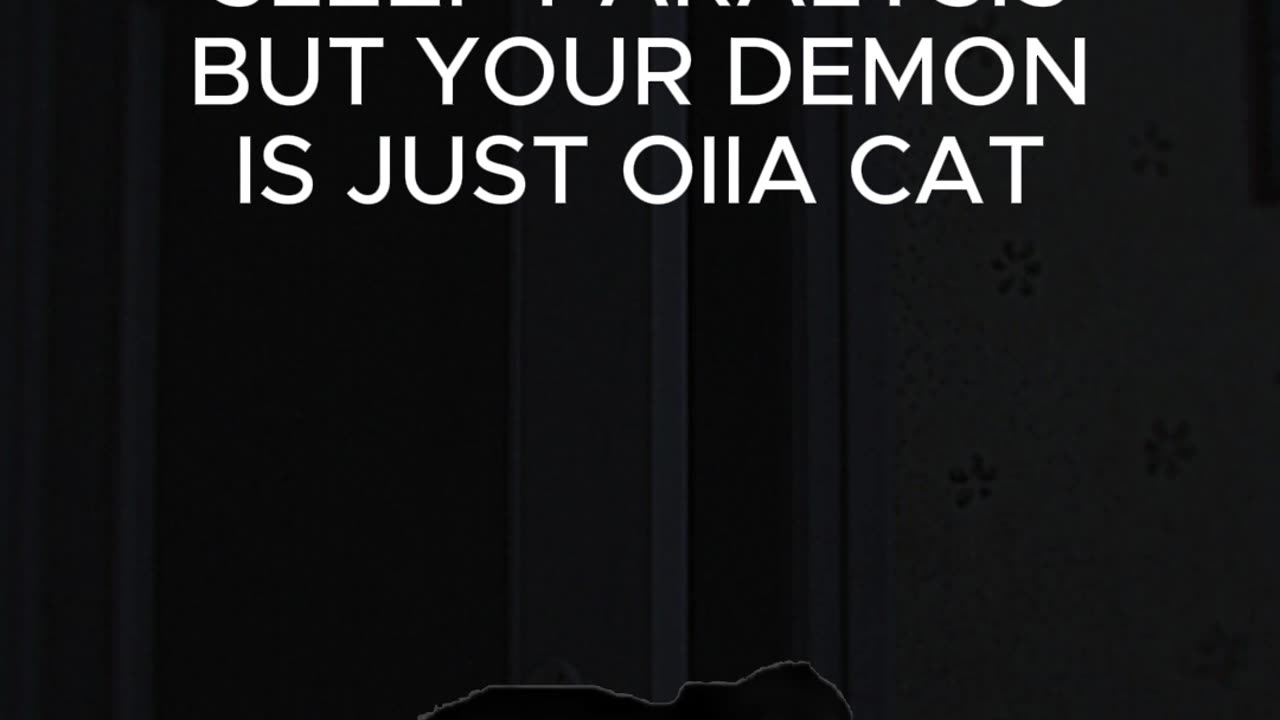 Sleep Paralysis but It’s Just OIIA OIIA Cat 🌀🐱