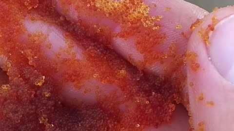 Bad resin mushy and not holding form. Will need to be replaced.