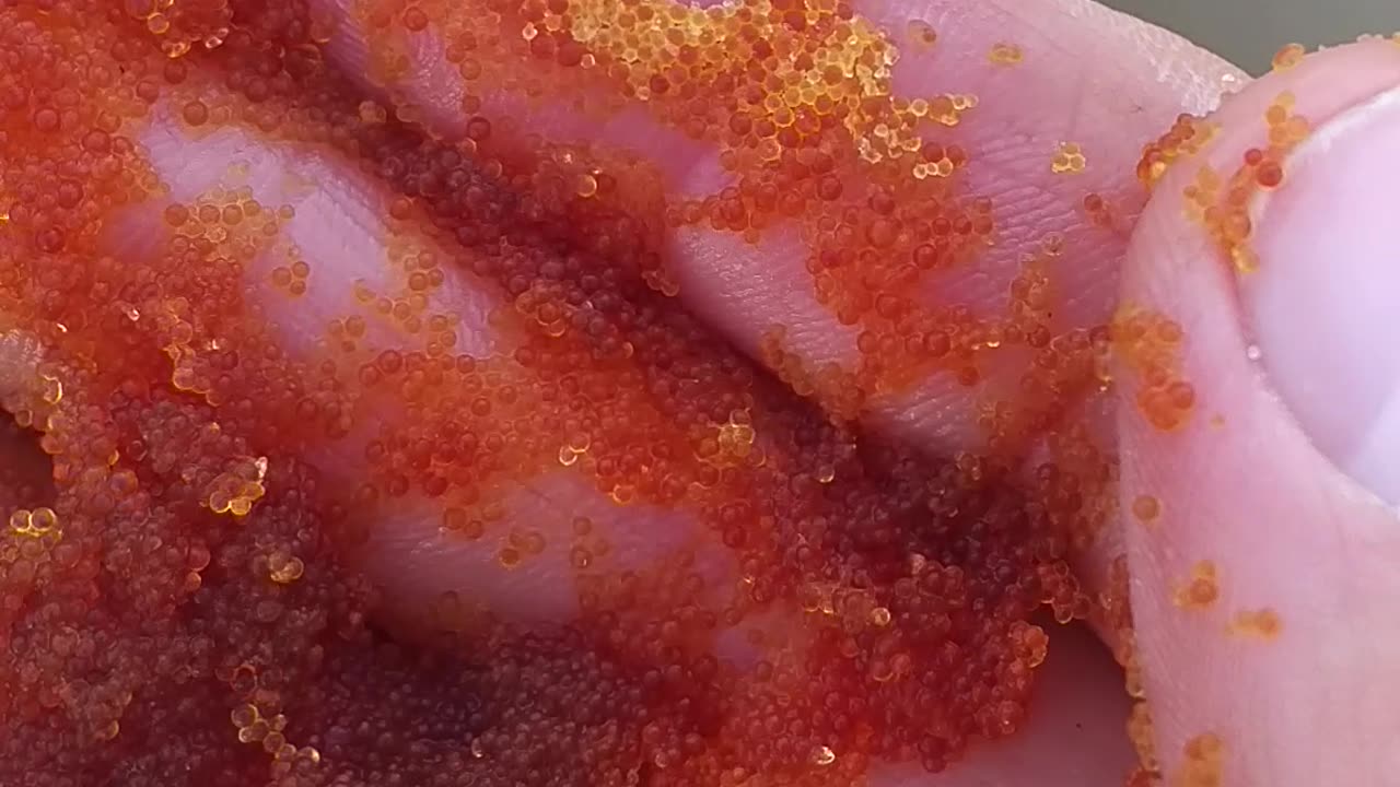 Bad resin mushy and not holding form. Will need to be replaced.