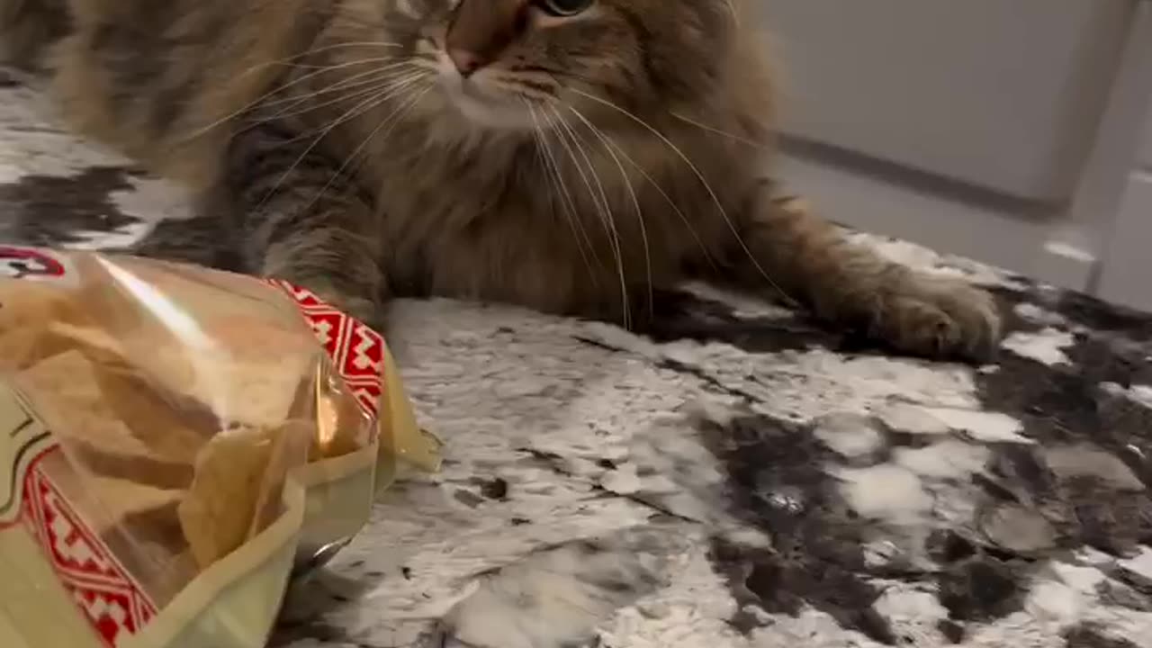 Unimpressed with the choice of clothing 😂