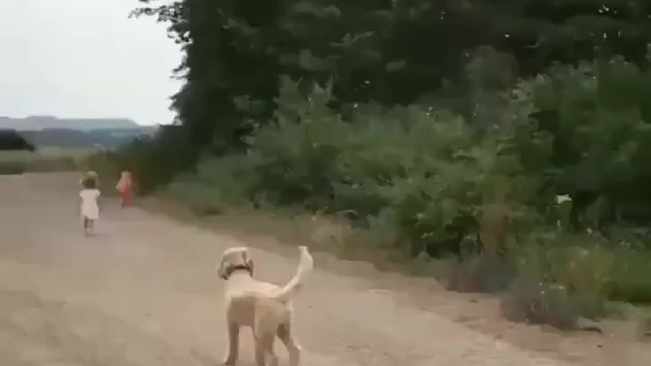 Brave puppy destroys a tornado and saves the planet..