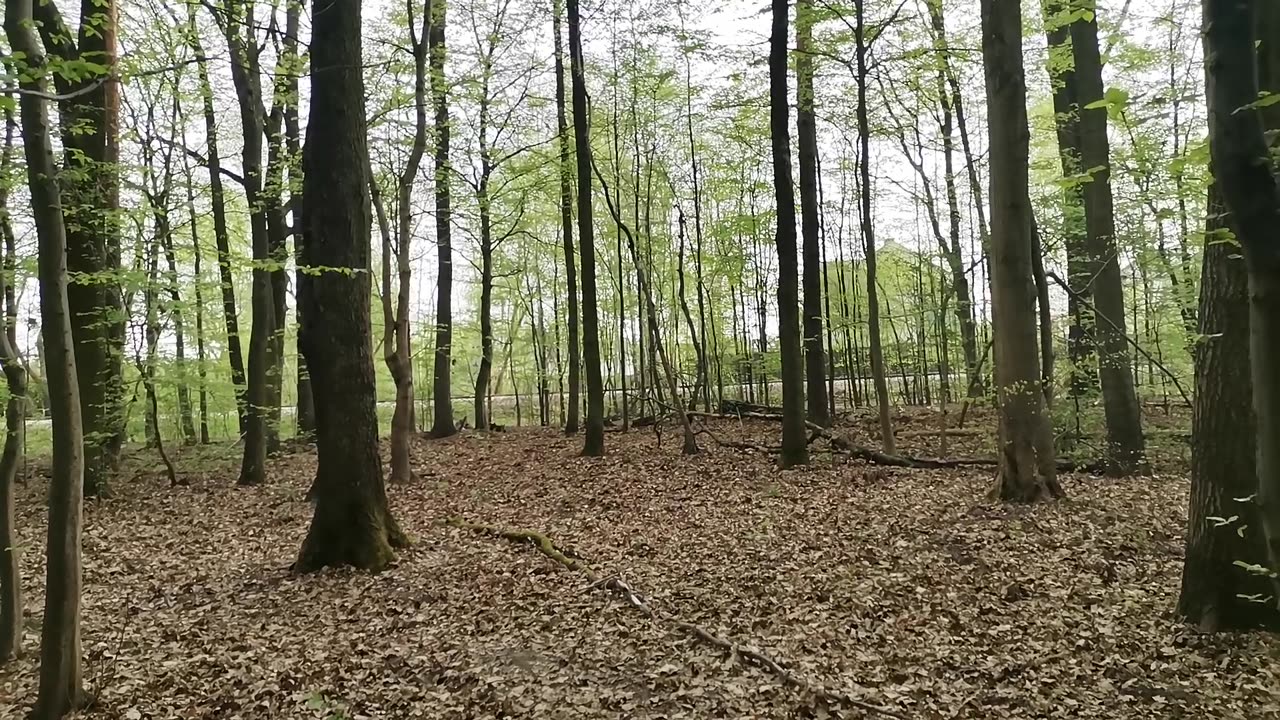 z bliska ...