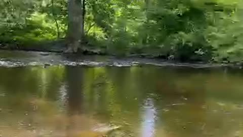 Califon, NJ