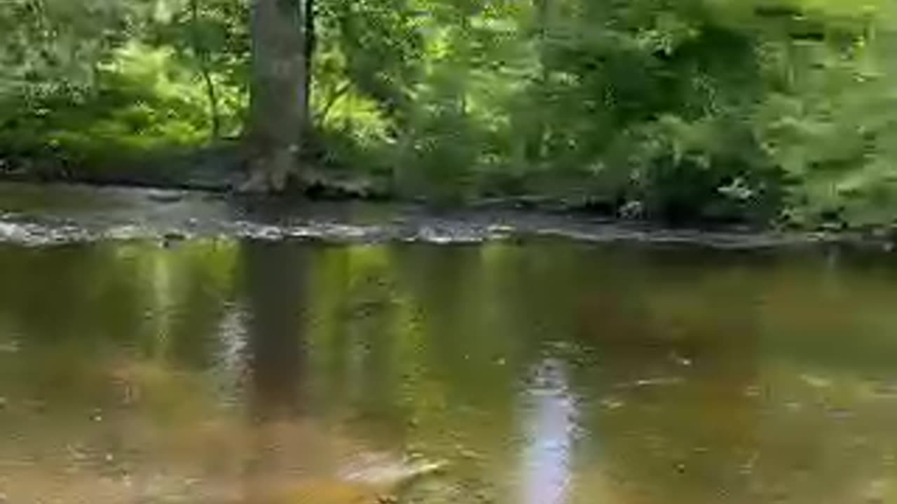 Califon, NJ